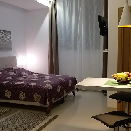 Apartment Centar Lux Vrsac