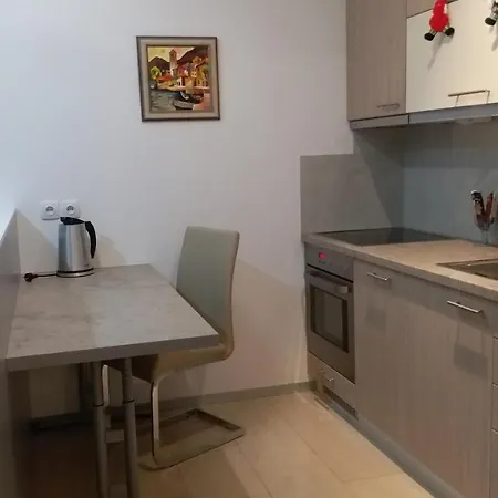 Centar Lux Lejlighed Vrsac